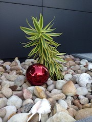 Red 150mm Stainless Steel Ball 